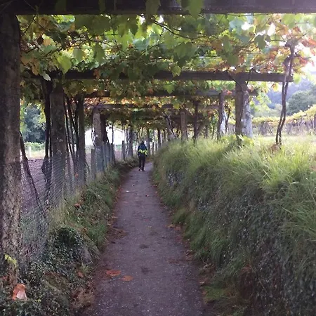 Silver Coast Vacation - Your Unique 게스트하우스 로리냐