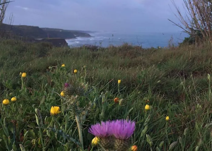 Silver Coast Vacation - Your Unique Pensionat 4*