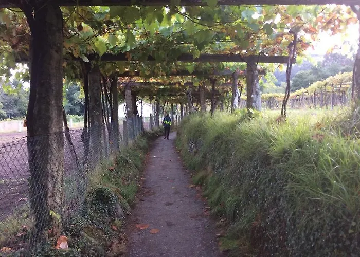 Silver Coast Vacation - Your Unique Pensionat Lourinhã